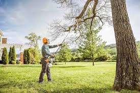 How Our Tree Care Process Works  in  Baytown, TX